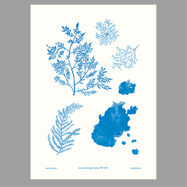 해초 Plants Poster (B5)