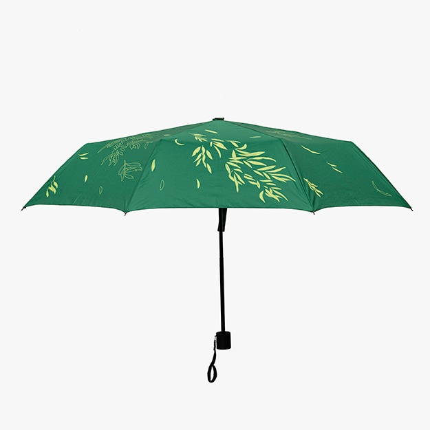버드나무 우산