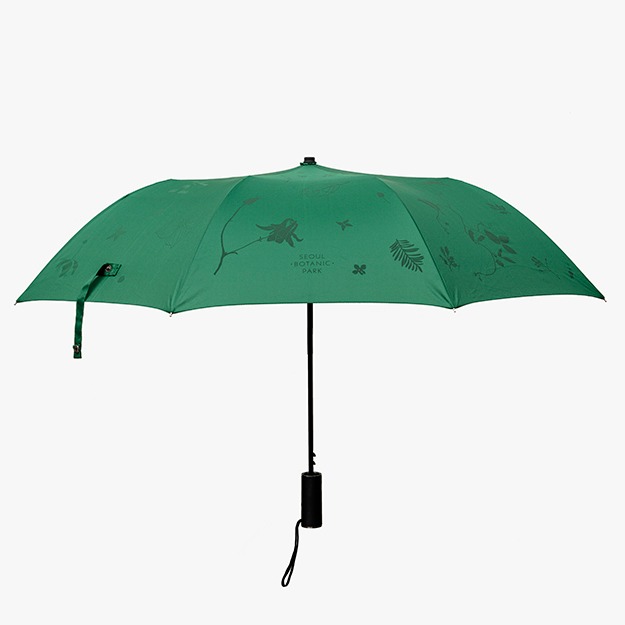 주제정원식물 우산