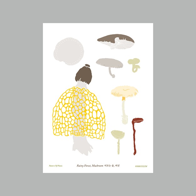 버섯 - 식물그림 엽서