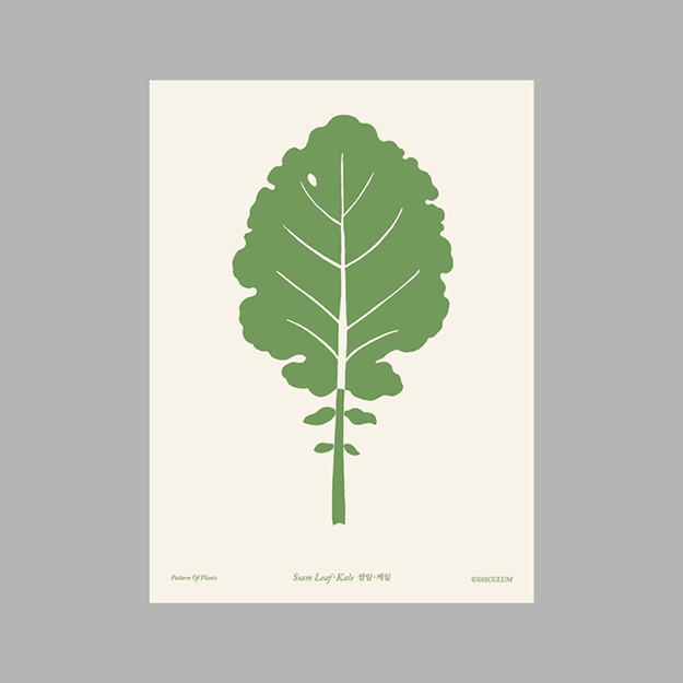 쌈잎 - 식물그림 엽서