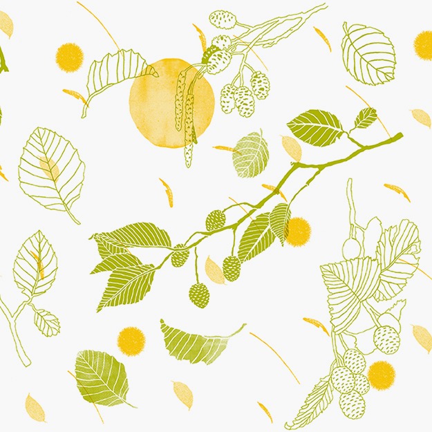 가을 한정 / 가을 바람 오리나무 패턴