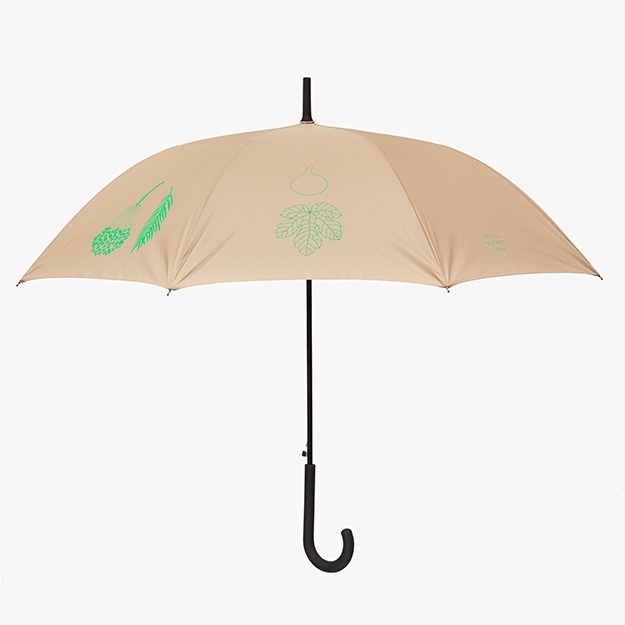 열대식물 우산