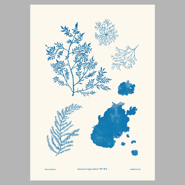해초 Plants Poster (B5)